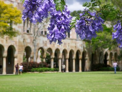 Faculty announces three new professorships