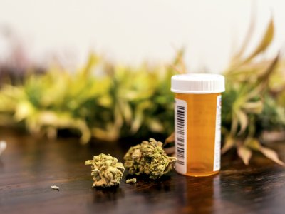 Drug expert supports current Australian medicinal cannabis policies