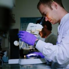 Unique focus of cardiovascular research centre
