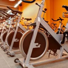 Could exercise help you learn new language?