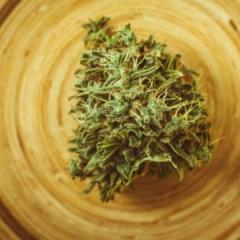 Cannabis users asked to keep it real