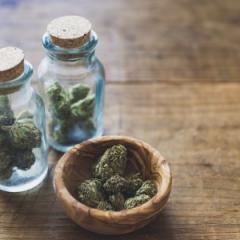 Is there need to reform international drug treaties?