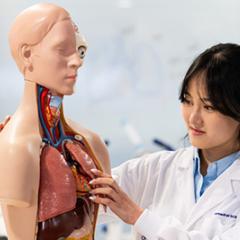 Female Biomedical student in a white lab coat working with an anatomical model