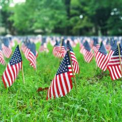 Mini American flags stuck in ground 
