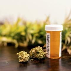 medicinal cannabis