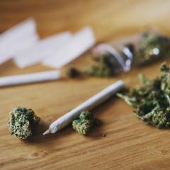 cannabis