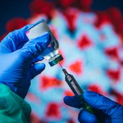 Gloved hand holding vaccination