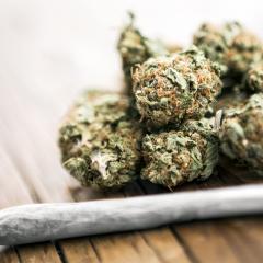 marijuana