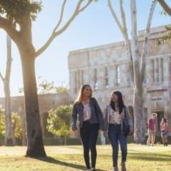 students walking through campus